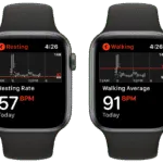 apple watch how to see your detailed heart rate history