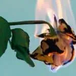 24 workout songs to help you get over your ex