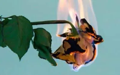 24 Workout Songs to Get Over Your Ex